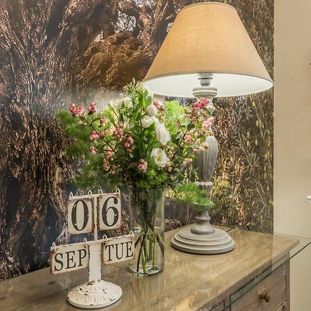 B&B L'Ulivo Fiumicino Exteriér fotografie